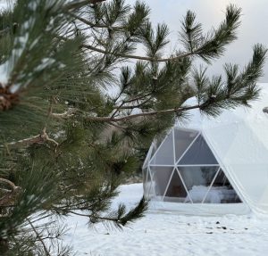 Glamping at Lost Woods Farm in Boyne Falls 7