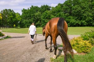 Stillwater Stables & Stays - RAW Detroit
